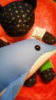 �C���J�����