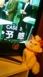 ���Ղ�(*/�ց_*)