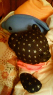 �q�n�l�d�r���[��