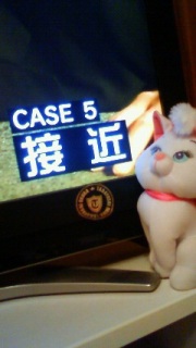(_�L�D�M)�m~~