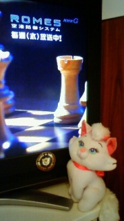 �ʔ����I�I