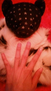 �����u��