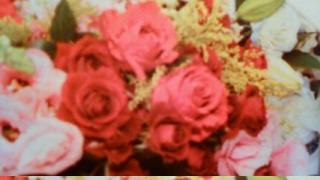 ROMES�I�[���A�b�v��