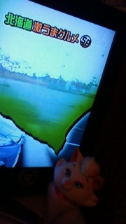 ����������������