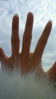 ��N�O�̍���( �L䇁M)