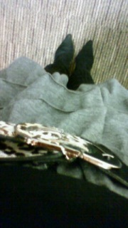 ��(�P���P;)!!