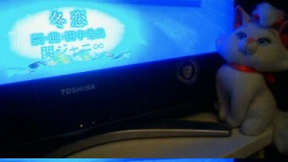 �v���~�A��