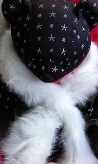 �g�D���g�D��