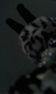 �s�[�X