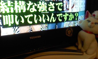 �����r���^