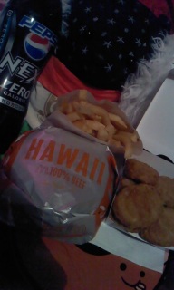 �n���C�A���o�[�K�[