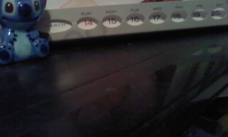 ��51�T�ځ�