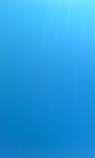 �����Ă�B�B�B