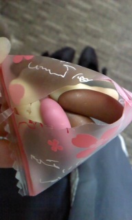 �`�̎�`���R