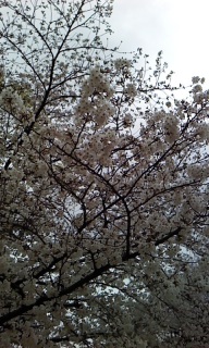 �����[�����[�炟�[��