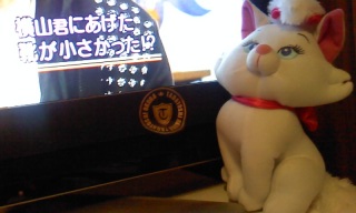 �������C�Y��