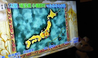 �O����&����