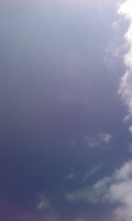 �S�[���f���E�B�[�N����