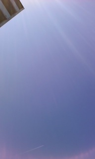 ���X�R(*�L��`)�m