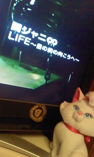 LIFE��PV