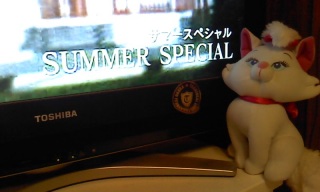 �v���~�A�����T�}�[�X�y�V����