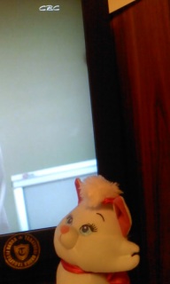 GM�Ȃ��B