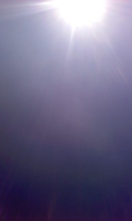 �t�@�C���[