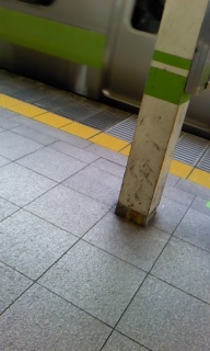 �����w����