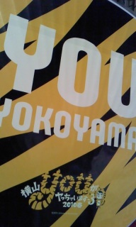 �O�b�Y