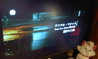 �A�j�}���E�}�W�b�NPV