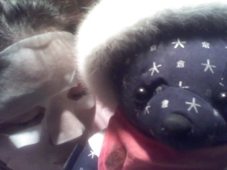 �^��G�b�Z���X�}�X�N