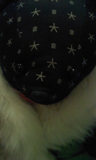 �������W���[���N�Ō�̍X�V