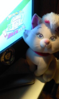 VS��2011�N�킢���ߐV�t!�ŋ����Ҍ����