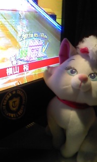 �A�C�h���ł���