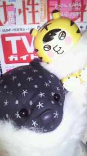 �����ׂ��V�R�L����