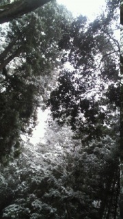 ��̈ɐ��_�{��4