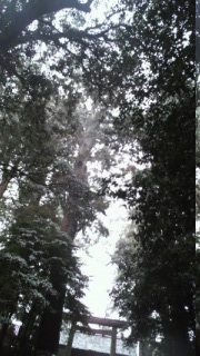 ��̈ɐ��_�{��5