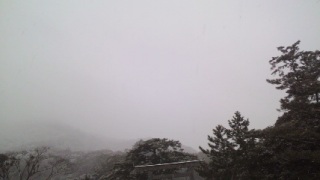 ��̈ɐ��_�{��7