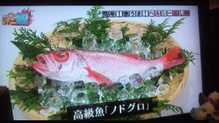 �u�m�h�O���v�v���[�Y!!