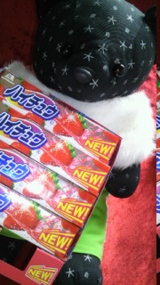 �X�g���x���[