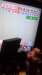 ���K�Ȃ��B