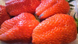 ��������!!