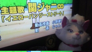 ��C�G���[�p���W�[�X�g���[�g