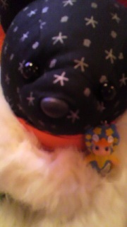 �s���L�[�����O