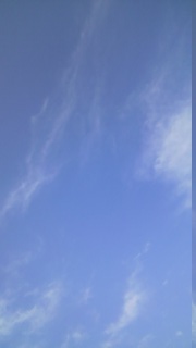 ��w����!!!!!!!�x