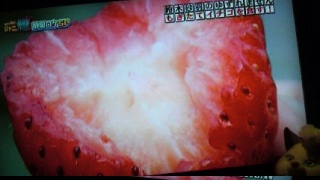 �K���ȋC��(*�L�ށM*)