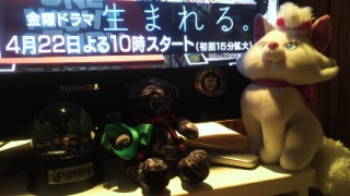 ���܂��B�{�҉f��