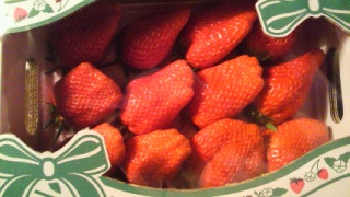 �K���ȐH�ו�