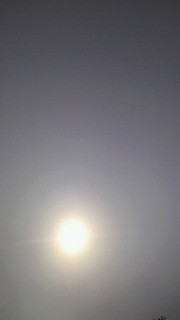 �}�[�`���OJ�B