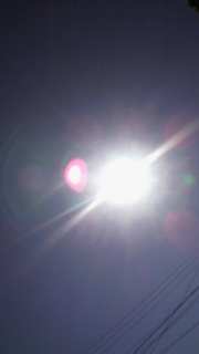 ���񂴂������B